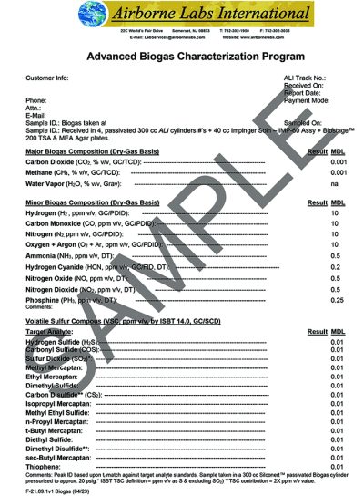 Biogas Adv Characterization Template_Part1