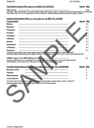 Biogas Adv Characterization Template_Part2