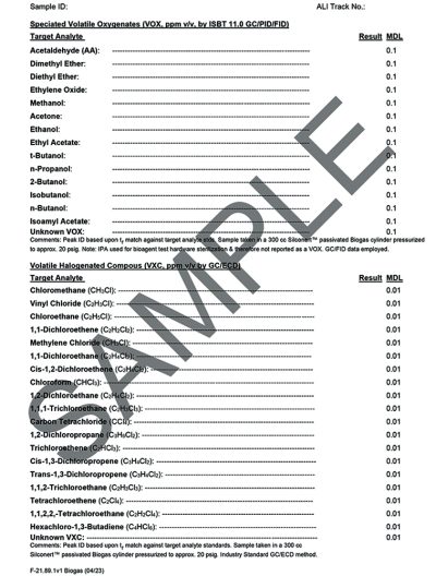 Biogas Adv Characterization Template_Part3