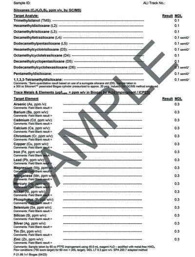 Biogas Adv Characterization Template_Part4